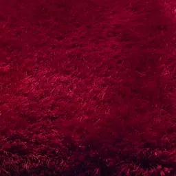 Shopgallery Red Textured Anti Skid Rectangle Shaggy Carpet image 3