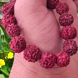Apnisanskriti Unisex Rudraksha Rakhi 13mm Bracelet image 3