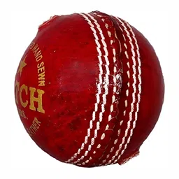HackerX Leather CricketBall-picture-20