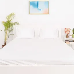 Oyvu White Cotton Breathable 300TC Queen Fine Bedsheet with 2 Pillow Covers 108 x 90 Inch image 1