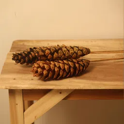 Vanchai Brown 4 Pieces Artificial Plant image 4