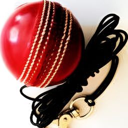 HackerX Printed Leather Cricket Hanging Ball-picture-29