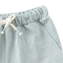 JusCubs Boys Shorts image 4