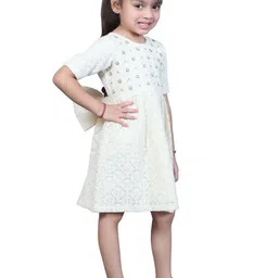 EthIndia Embellished Net A-Line Dress image 3