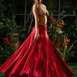 Payal & Zinal Embellished Thread Work Ready to Wear Lehenga image 3