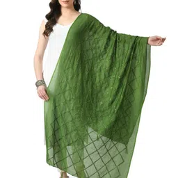 A R SILK DUPATTA HUB Geometric Embroidered Sequinned Chanderi Dupatta-picture-13