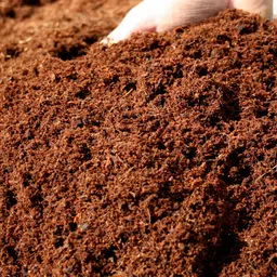 myowngardening COCOPEAT 5KG BLOCK (Coirpith or Coco fibre or CocoPeat) for Terrace Gardening Manure, Fertilizer image 4
