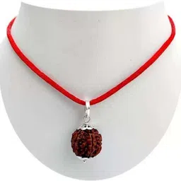 7 Mukhi Rudraksha Pendant Original & Certified Men & Women Wood Locket-image-3