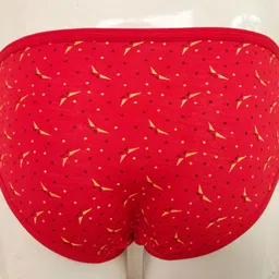 evaara Pack of 6 Women Hipster Multicolor Panty image 2