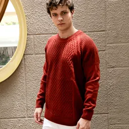 campus sutra Men Self Design Round Neck Brown Sweater image 3