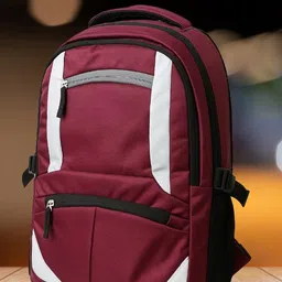 elcom Medium 30 L Laptop Backpack Casual Backpack For Women with features of casual bags for men and backbencher image 1