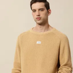 mr bowerbird Men Self Design Round Neck Brown Sweater-picture-21