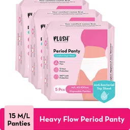 plush Comfort High Waist Disposable Period Panty, Rash Free M/L Size Sanitary Pad image 1