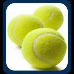 jai shri New-New-Tennis _39Pack of 6 Tennis Ball-picture-12
