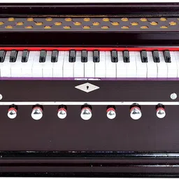 jaaze x00 x00 3.5 Octave Hand Pumped Harmonium image 2