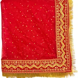 sky cloud Net Embroidered Red Women Dupatta image 4