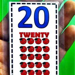 vinayak computers 1-20 Numbers Laminated Flash Cards with Both Side Printing (20 Cards) image 2