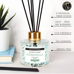 SOUL & SCENTS Transparent 2 Pieces Blossom Fragrance With 6 Reed Sticks 120 ml  Each image 2