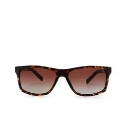 Nautica Men Brown Lens & Brown Rectangle Sunglasses with Polarised and UV Protected Lens image 2