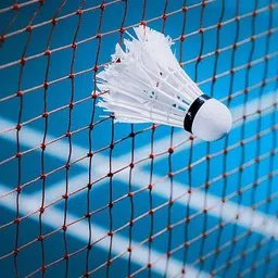 gulshan Portable Strong Badminton Net Badminton Net Nylon (Brown) Badminton Net image 2