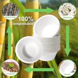 v4l Sugarcane Bagasse Vegetable Bowl 250 ml Biodegradable, Compostable Disposable image 4