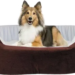 havens dream Dog Bed, Sofas Bed & Chairs Beds M Pet Bed-picture-17