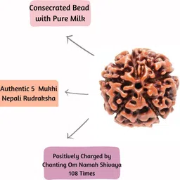 shivtantra 5 MUKHI RUDRAKSHA | CONSECRATED RUDRAKSHA | HOLY SHIVLING & SHREE MANTRA INSIDE Stone Pendant-picture-26