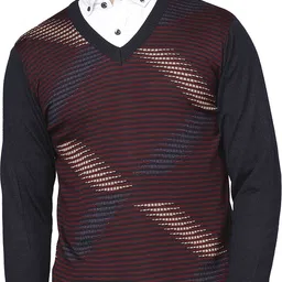 raymond Men Self Design V Neck Multicolor Sweater-picture-21