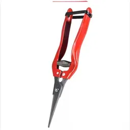 a&s toolshop Stainless Steel Branch Shear Flower Cutting Pruning Shears Straight Snip 1X Pruning Shear Garden Scissor Bypass Pruner image 5
