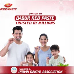 dabur Toothpaste - 800g (200g x 4) Toothpaste image 4
