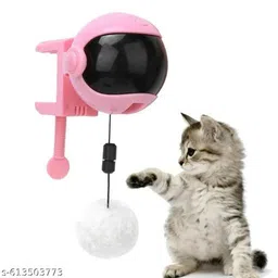 Attractive Interactive Toys for Pets-picture-10