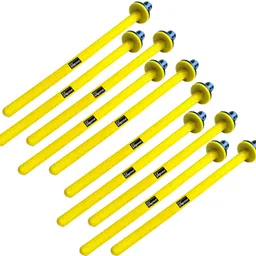 pagona Climbing Perch Bird-picture-23