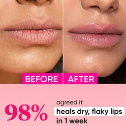 DOT & KEY Barrier Repair Ceramide & Peptide SPF50 Lip Balm with Avocado 10g - Plush Pink image 5