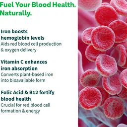 oziva Iron with Folic Acid | For Healthy Haemoglobin Levels | With Vitamin C & B12 image 4