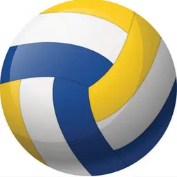 clark classy pu best qality volleyball Volleyball - Size: 4-picture-11