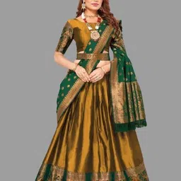 Aishani Superior Women Lehenga-picture-28