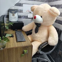 tas Teddy Bear for Your Love 6 Feet - Cream Color (6ft-Teddy-Cream-N) - 72 inch image 4