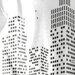 veenat Tshirt Regular Shorts Co-ords Set image 3