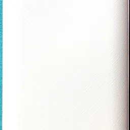 9ways 10000 mAh Power Bank image 2