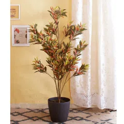 fourwalls Polyester Della Multicolor Croton Without Pot Artificial Plant image 1