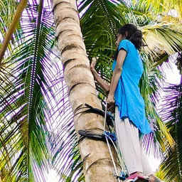 sara HeavyDuty Climber 02 Climbing Hold image 2