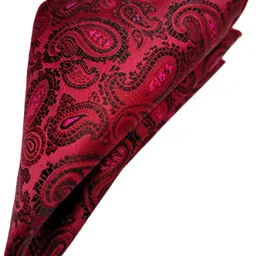 VOICI Mens Ascot Necktie and Pocket Square Cravat image 3