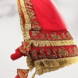 Gorgeous Attractive Women Dupattas-picture-10