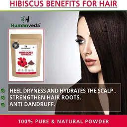 humanveda Bhringraj & Hibiscus Powder Natural & Pure for Hair (100g + 100g=200g) pack of 2 image 2