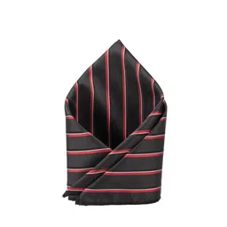 The Tie Hub Printed Microfiber Pocket Squares image 3