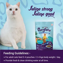 purrfeto wet cat food ocean fish in gravy pack of 12 Fish 0.96 kg (12x0.08 kg) Wet Adult Cat Food image 4