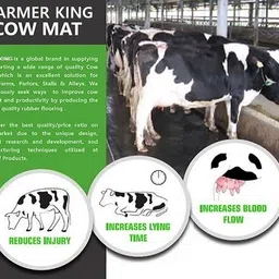 ursus Dishwasher Safe, Waterproof, Raised Edges, Mat for Cows, Buffalo, Bull Cow, Dog, Guinea Pig, Hamster, Miniature Pig Pet Mat image 2