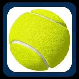 jai shri New-New-Tennis ball _314Pack of 6 Tennis Ball-picture-19