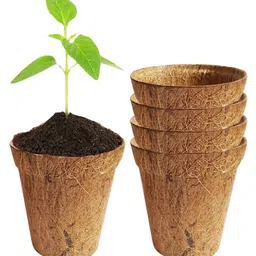 ecofynd Pack Of 5 Brown Coconut Husk Biodegradable Coir Pots image 5