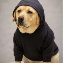 SAMAHI | Black Dog Hoodie for Winter | Warm Hooded Sweatshirt for All SIze Dogs | Stylish Pet Hoodie for Labrador, Golden Retriever, Beagle,ETC-image-1
